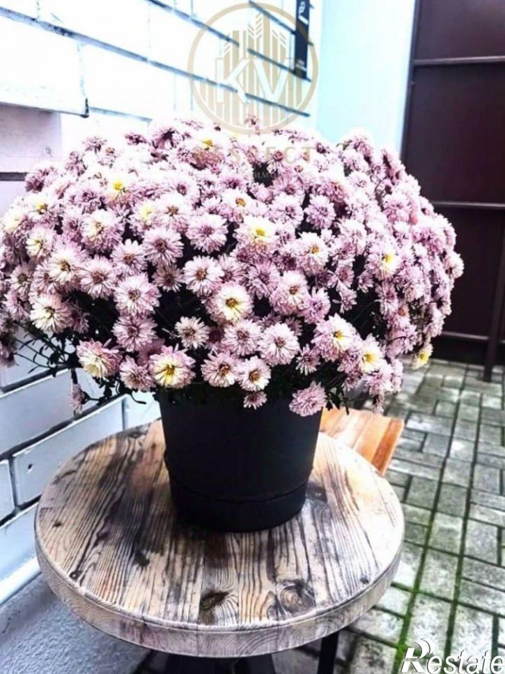 2-комн квартира Пятигорск, Калинина пр-кт, д. 38