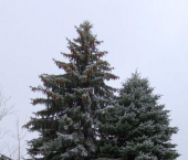 коттедж 93 кв м ул Совхозная, 38