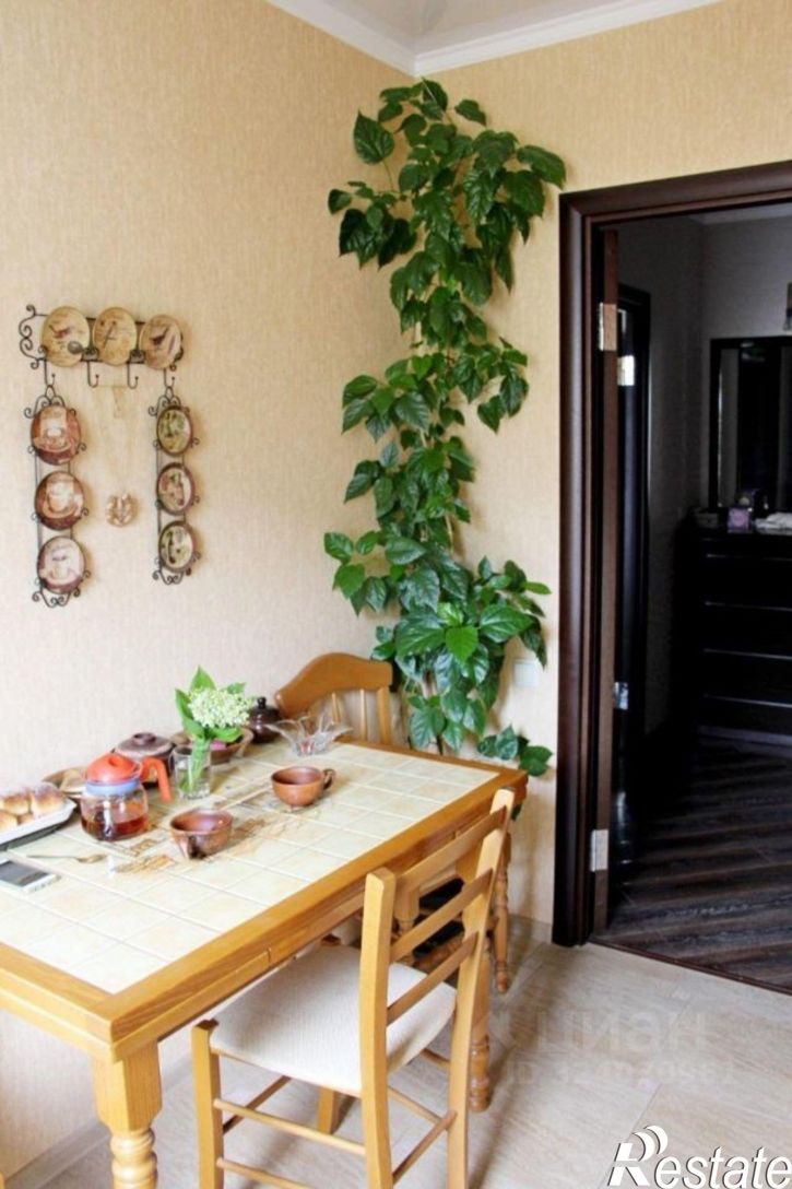 2-комн квартира улица Пирогова, 12,  д. 12