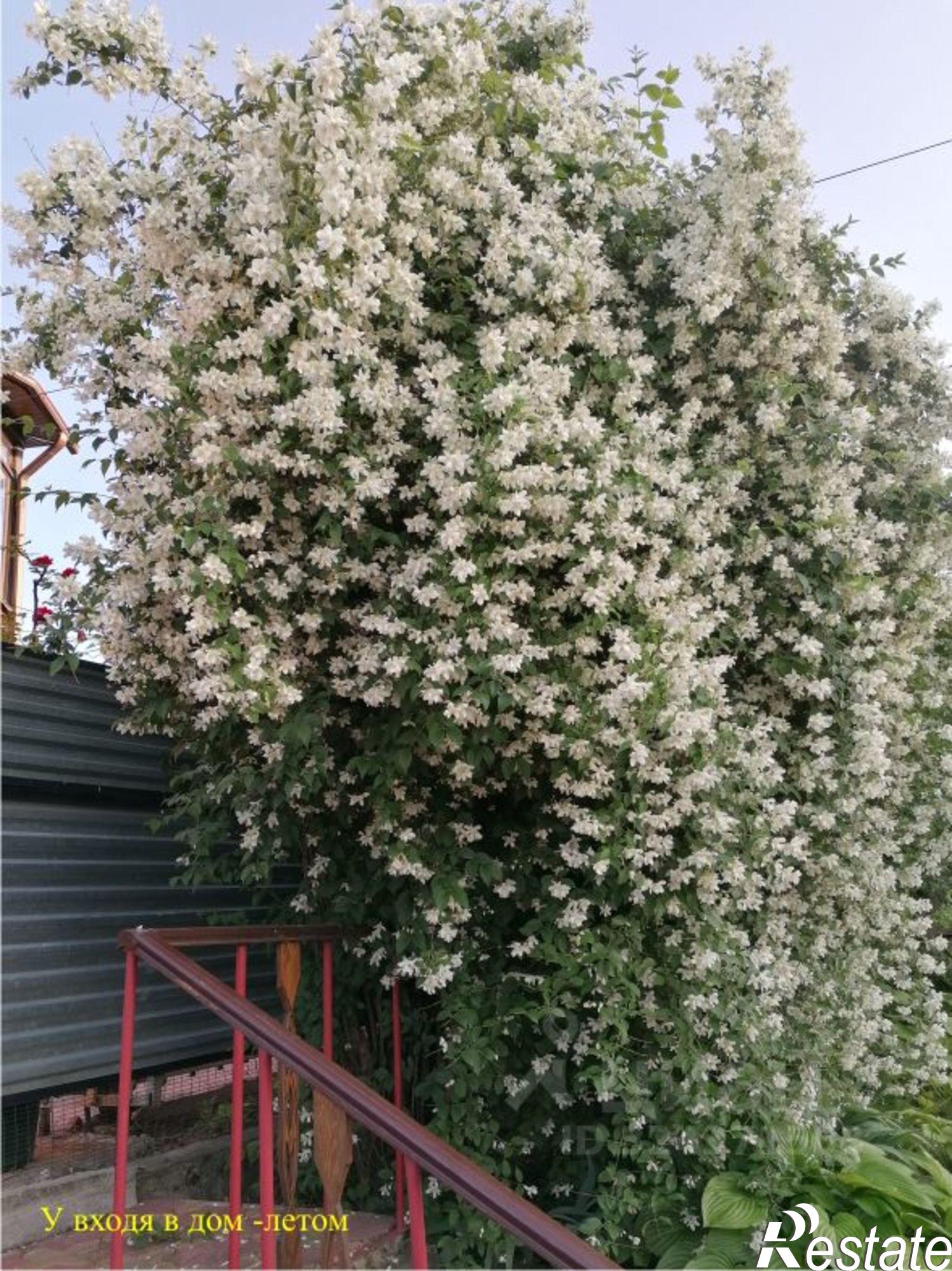 Купить дачу, дом, коттедж за 20 000 000 рублей на ул Островского, 4