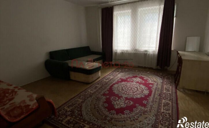 1-комн квартира ул Пушкинская, 33/1,  д. 33/1