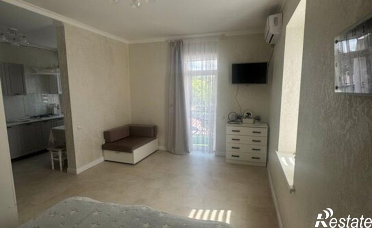 1-комн квартира ул Академика Павлова, 30,  д. 30