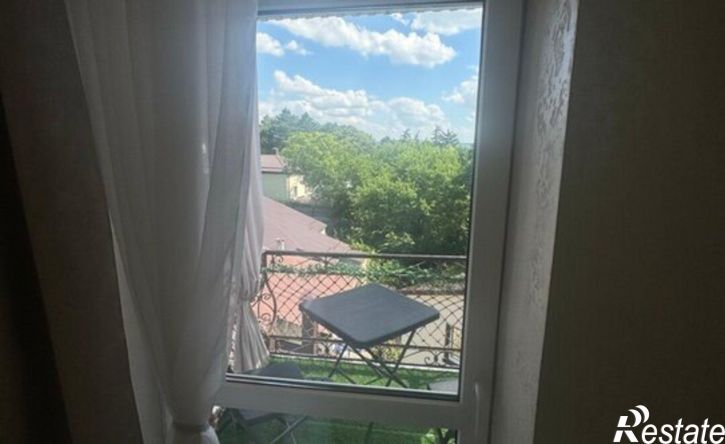 1-комн квартира ул Академика Павлова, 30,  д. 30