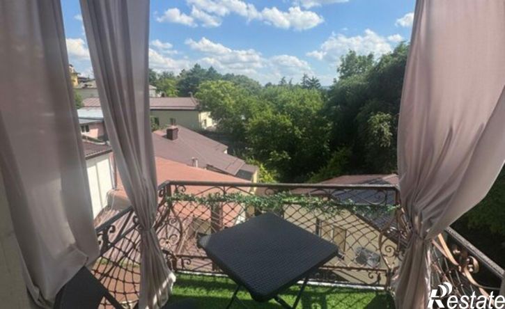 1-комн квартира ул Академика Павлова, 30,  д. 30