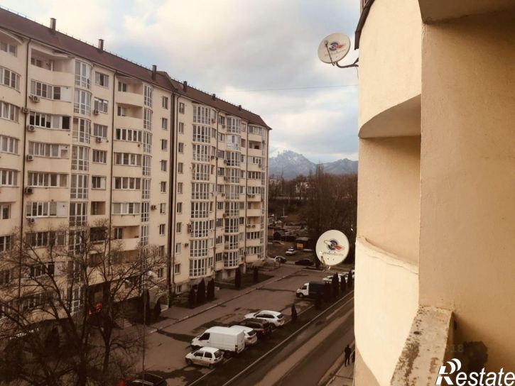 1-комн квартира ул Оранжерейная, 22/2,  д. 22/2