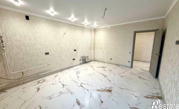 2-комн квартира ул Пальмиро Тольятти, 55,  д. 55