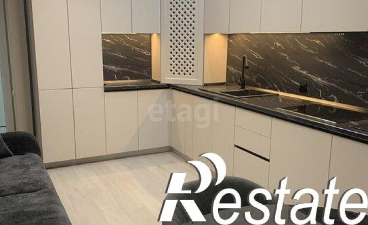 1-комн квартира улица Егоршина, 7 к4,  д. 7 к4